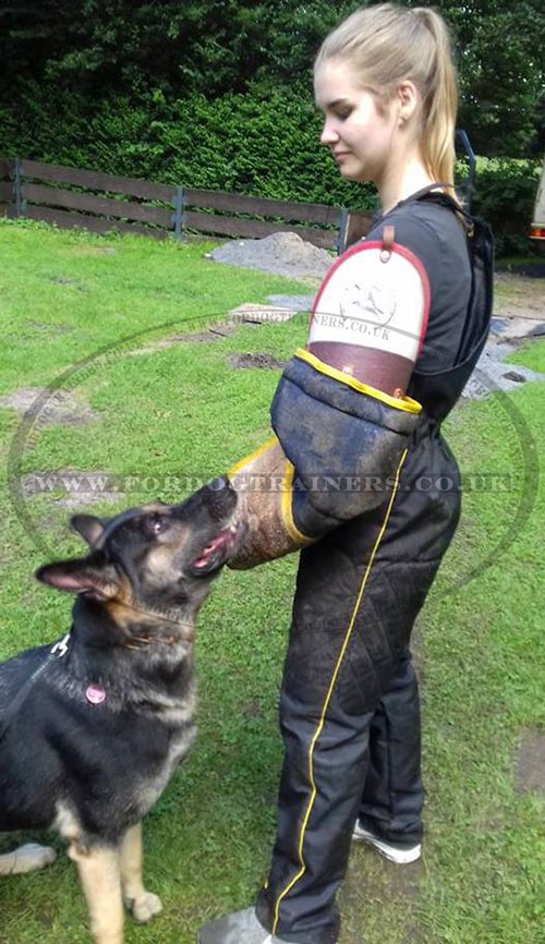 scratch pants for dog training